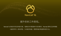 Navicat Premium 16.3.8(数据库管理工具最新破解版)