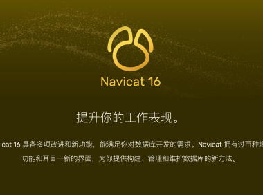 Navicat Premium 16.3.8(数据库管理工具最新破解版)