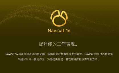 Navicat Premium 16.3.8(数据库管理工具最新破解版)